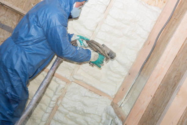 Types of Insulation We Offer in Bronson, FL